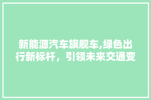 新能源汽车旗舰车,绿色出行新标杆，引领未来交通变革