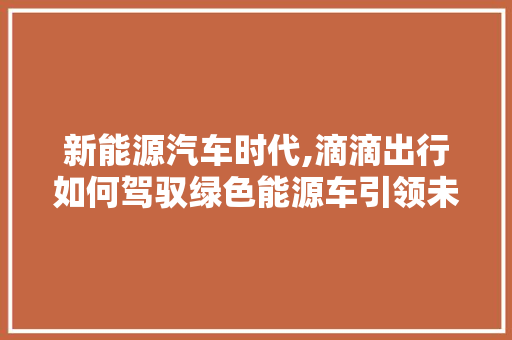 新能源汽车时代,滴滴出行如何驾驭绿色能源车引领未来出行 新款车型