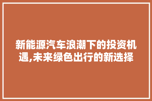 新能源汽车浪潮下的投资机遇,未来绿色出行的新选择