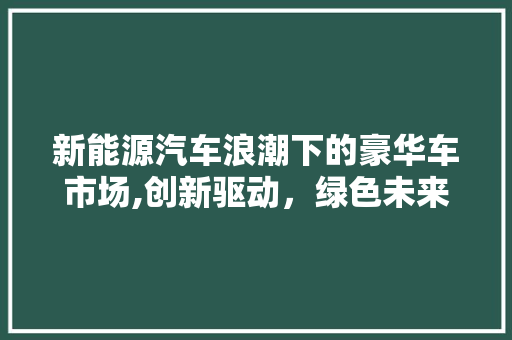 新能源汽车浪潮下的豪华车市场,创新驱动，绿色未来