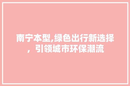 南宁本型,绿色出行新选择，引领城市环保潮流