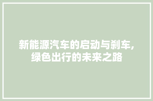 新能源汽车的启动与刹车,绿色出行的未来之路