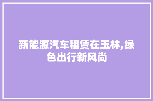 新能源汽车租赁在玉林,绿色出行新风尚
