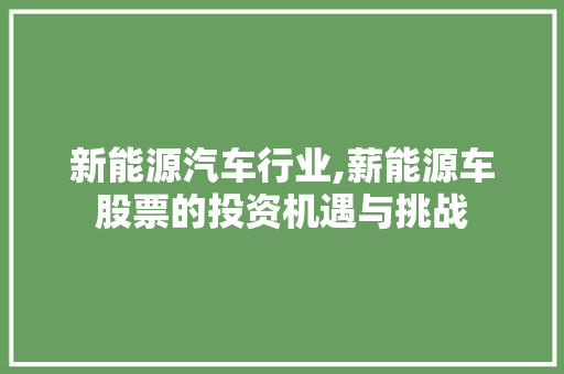 新能源汽车行业,薪能源车股票的投资机遇与挑战