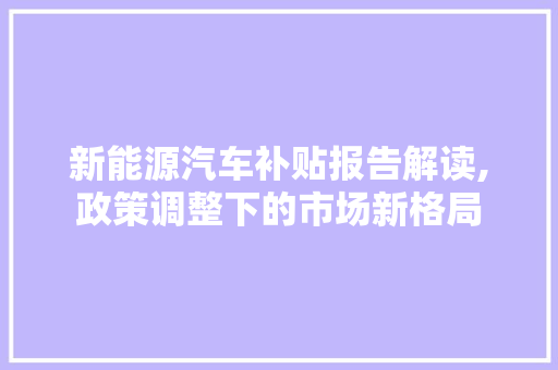 新能源汽车补贴报告解读,政策调整下的市场新格局
