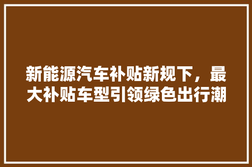 新能源汽车补贴新规下，最大补贴车型引领绿色出行潮流