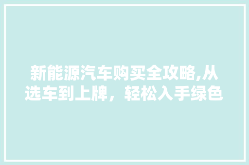 新能源汽车购买全攻略,从选车到上牌，轻松入手绿色出行