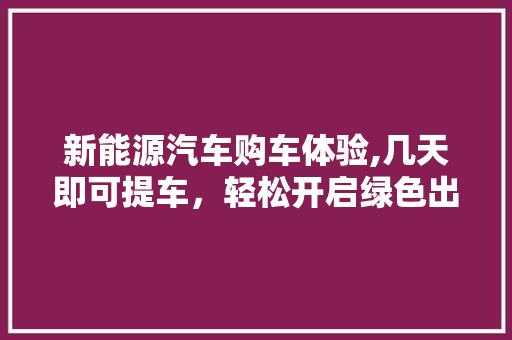 新能源汽车购车体验,几天即可提车，轻松开启绿色出行新篇章