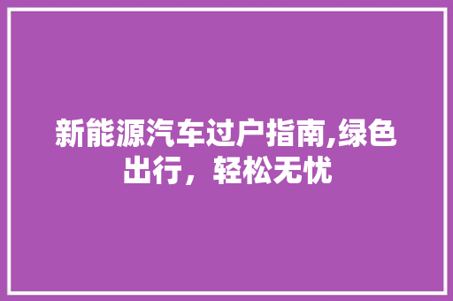 新能源汽车过户指南,绿色出行，轻松无忧