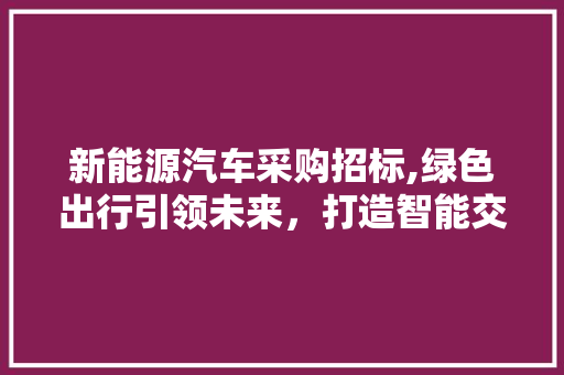 新能源汽车采购招标,绿色出行引领未来，打造智能交通新格局