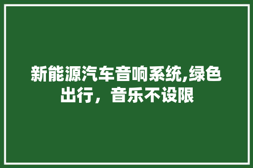 新能源汽车音响系统,绿色出行，音乐不设限