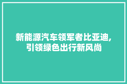 新能源汽车领军者比亚迪,引领绿色出行新风尚