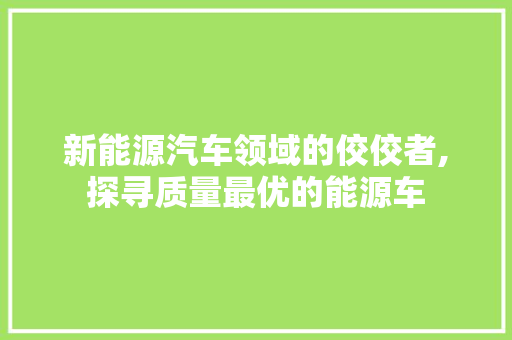 新能源汽车领域的佼佼者,探寻质量最优的能源车