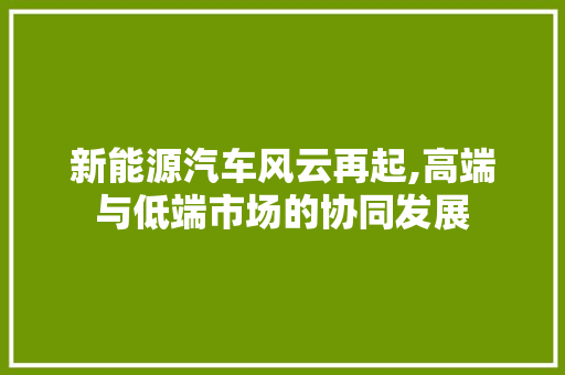 新能源汽车风云再起,高端与低端市场的协同发展