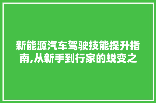新能源汽车驾驶技能提升指南,从新手到行家的蜕变之路
