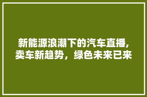 新能源浪潮下的汽车直播,卖车新趋势，绿色未来已来