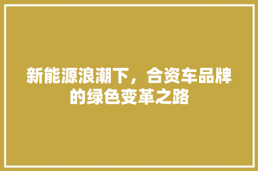 新能源浪潮下，合资车品牌的绿色变革之路