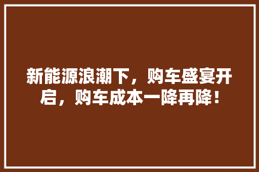新能源浪潮下，购车盛宴开启，购车成本一降再降！