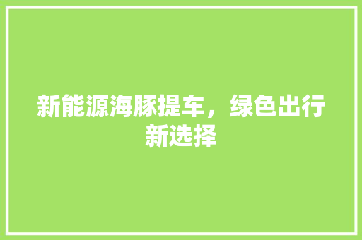 新能源海豚提车，绿色出行新选择
