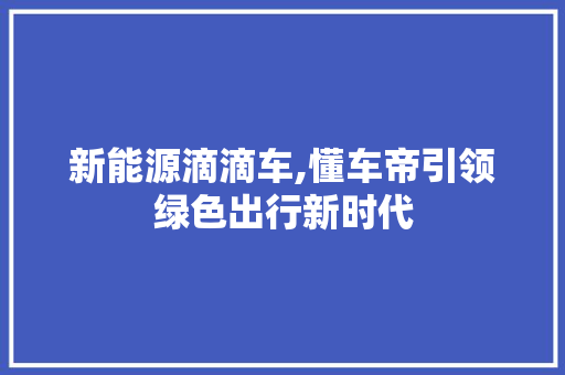 新能源滴滴车,懂车帝引领绿色出行新时代