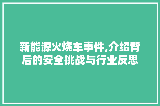 新能源火烧车事件,介绍背后的安全挑战与行业反思