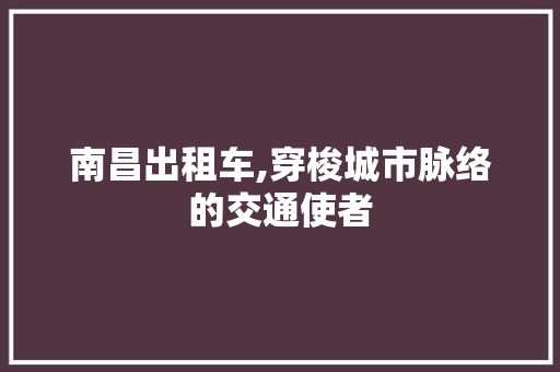 南昌出租车,穿梭城市脉络的交通使者