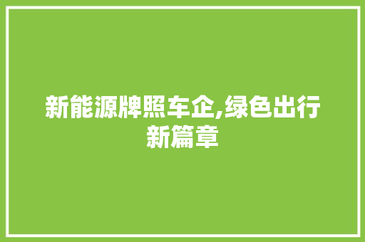 新能源牌照车企,绿色出行新篇章
