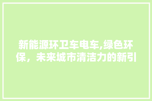 新能源环卫车电车,绿色环保，未来城市清洁力的新引擎