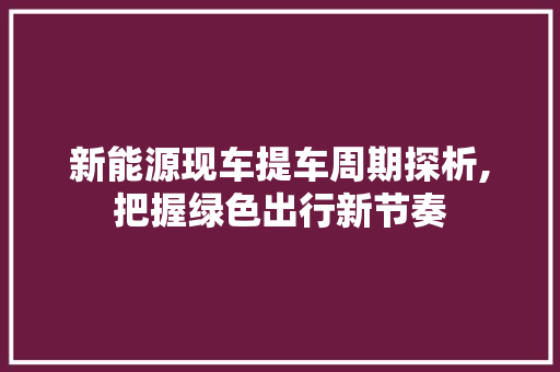 新能源现车提车周期探析,把握绿色出行新节奏