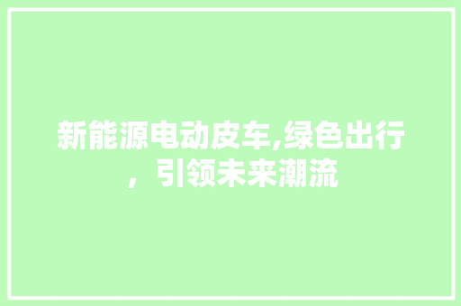 新能源电动皮车,绿色出行，引领未来潮流