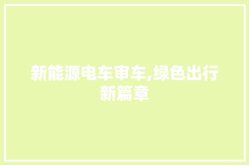 新能源电车审车,绿色出行新篇章