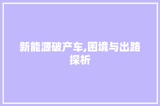 新能源破产车,困境与出路探析
