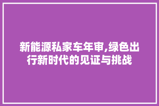 新能源私家车年审,绿色出行新时代的见证与挑战