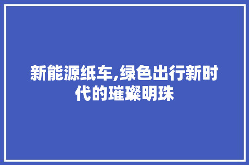 新能源纸车,绿色出行新时代的璀璨明珠