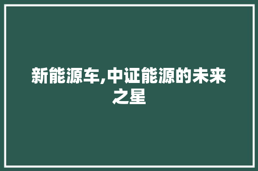 新能源车,中证能源的未来之星