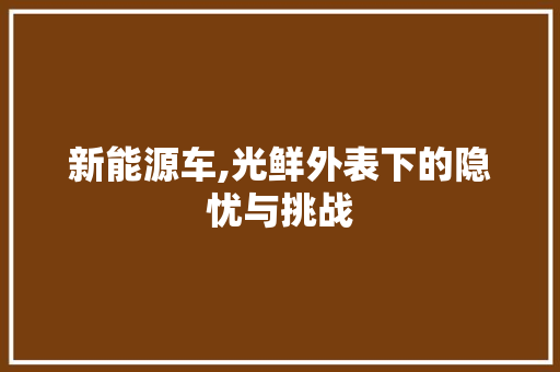 新能源车,光鲜外表下的隐忧与挑战