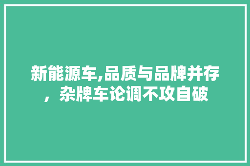 新能源车,品质与品牌并存，杂牌车论调不攻自破