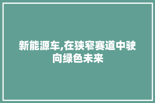 新能源车,在狭窄赛道中驶向绿色未来