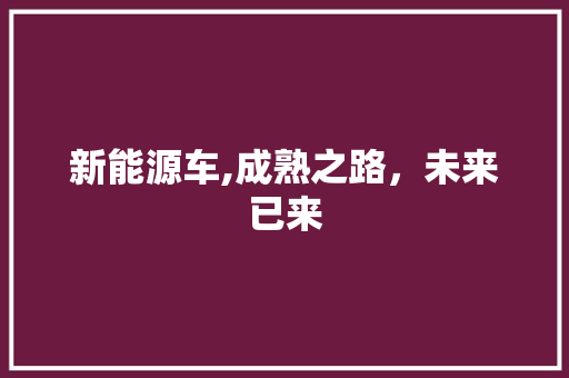 新能源车,成熟之路，未来已来