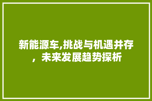 新能源车,挑战与机遇并存，未来发展趋势探析