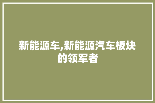 新能源车,新能源汽车板块的领军者