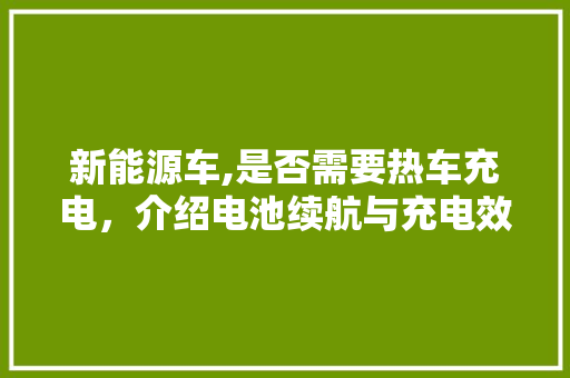 新能源车,是否需要热车充电，介绍电池续航与充电效率之谜