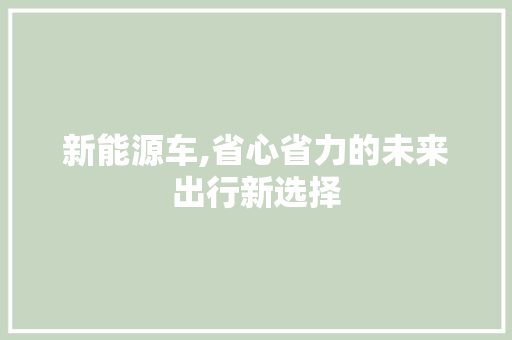 新能源车,省心省力的未来出行新选择