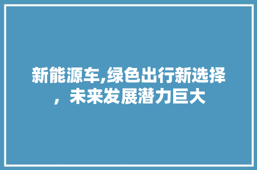 新能源车,绿色出行新选择，未来发展潜力巨大