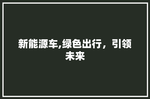 新能源车,绿色出行，引领未来