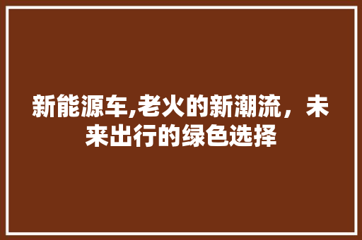 新能源车,老火的新潮流，未来出行的绿色选择