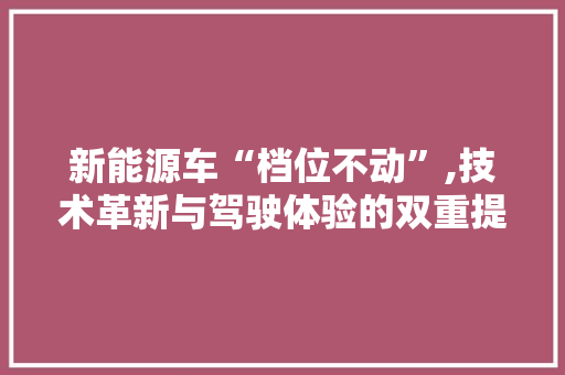 新能源车“档位不动”,技术革新与驾驶体验的双重提升