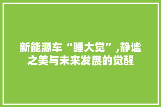 新能源车“睡大觉”,静谧之美与未来发展的觉醒