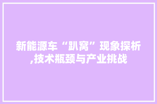 新能源车“趴窝”现象探析,技术瓶颈与产业挑战