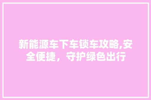 新能源车下车锁车攻略,安全便捷，守护绿色出行